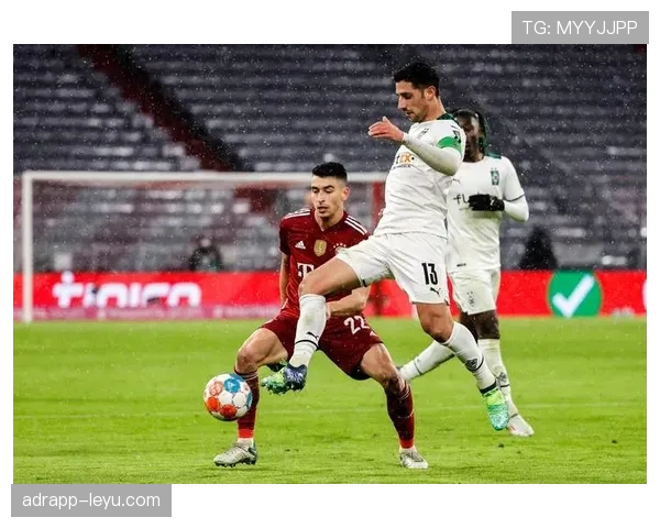 德甲新星塔巴科维奇火热回归，强势进球助推球队再创佳绩