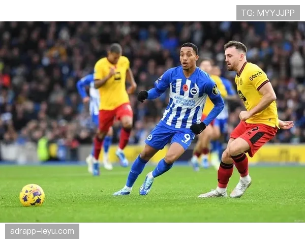 布莱顿反击犀利攻防俱佳，稳健表现引关注