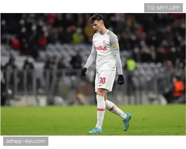 德甲本杰明·塞斯科 德甲本杰明·塞斯科